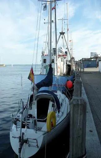 self steering windvane