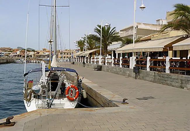 self steering wind vane s 440 white