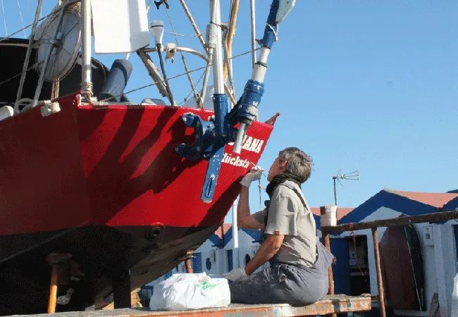 south atlantic self steering wind vane