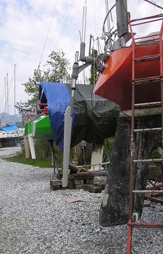 self steering wind vane gold