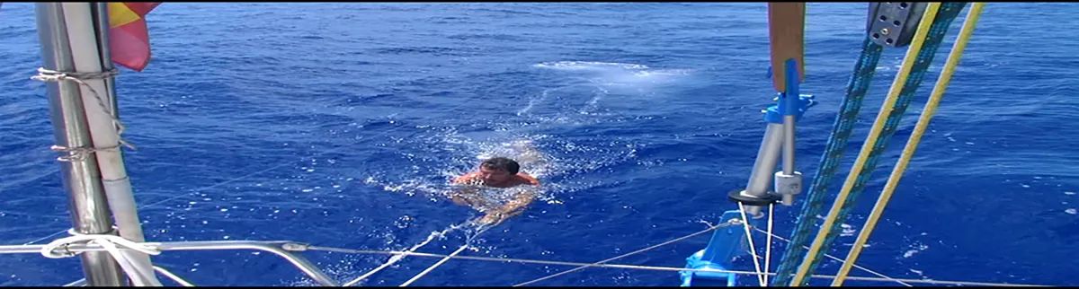 wind vane self steering south atlantic S 470